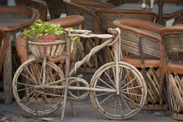 Mexico, Guanajuato Bicycle with potted plant
